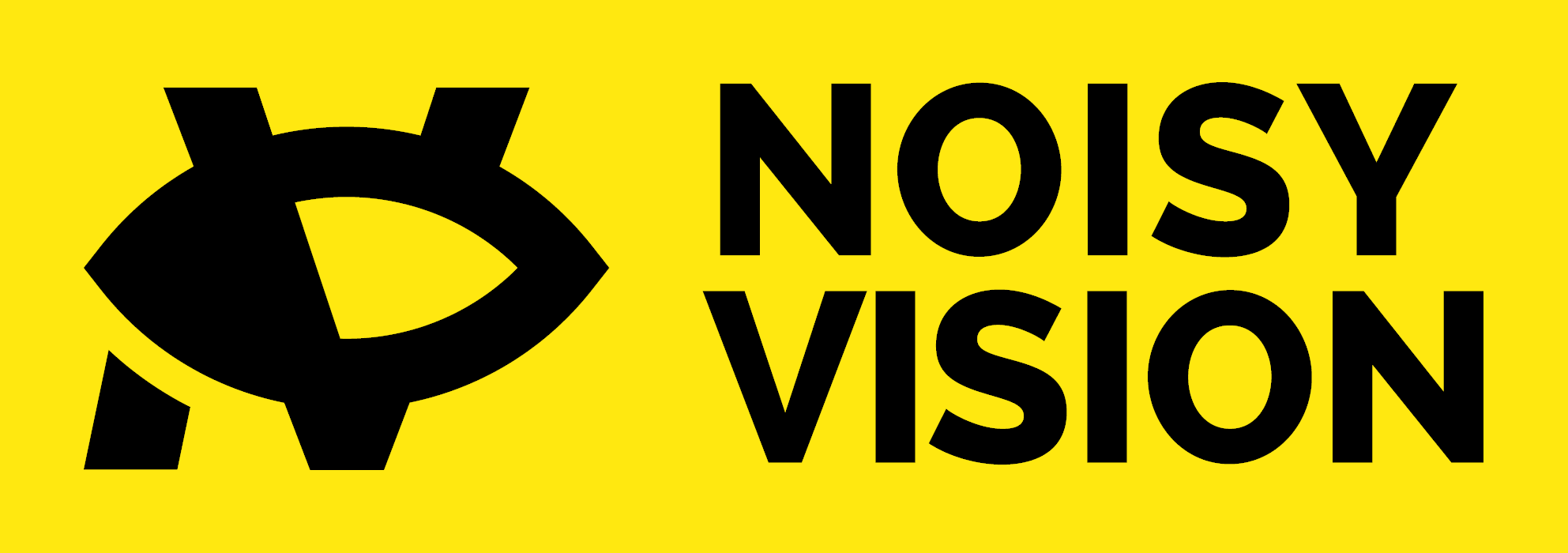 NoisyVision