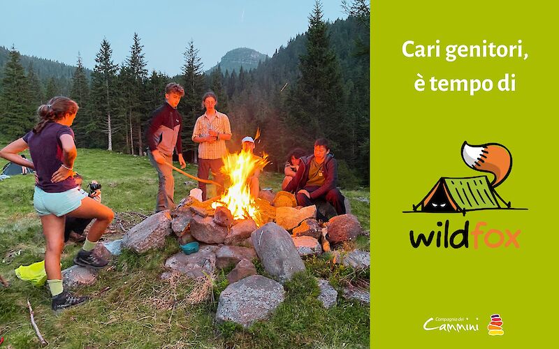 Cari genitori, è tempo di Wild Fox