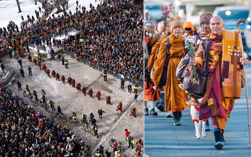 Walk for peace, again